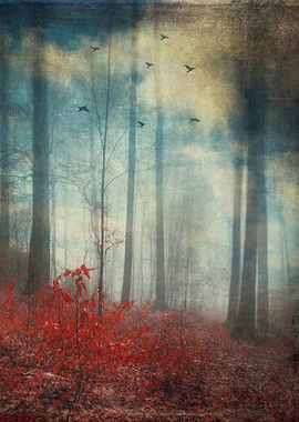 open woodland fantasy