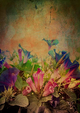 'Flowers have music for those who will listen' Wild flo ...