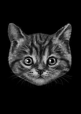 Cat is the New Black