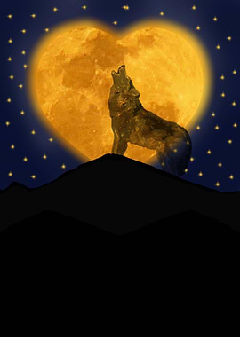 a lone wolf howls to the heart moon as he longs for lov ...