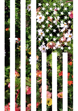 I used a photo I took of a flower bed as well as a vect ...