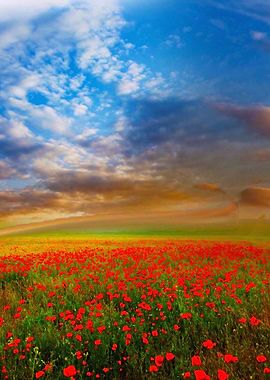 A stunning landscape of a