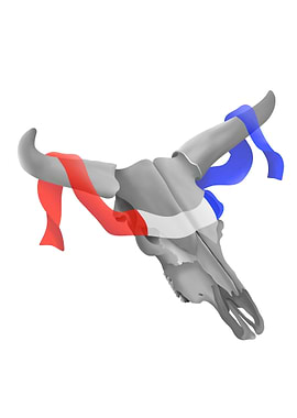 A cows skull with a patriotic, red, white and blue ribb ...