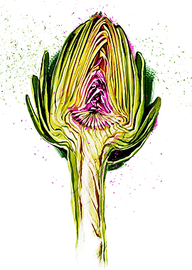 Artichoke