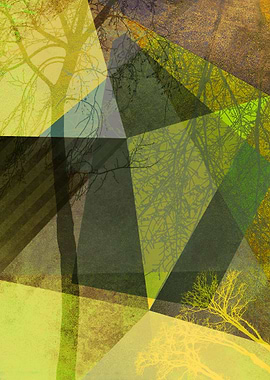 P24-2a TREES AND TRIANGLES