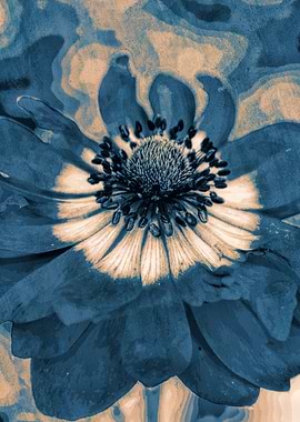 anemone in the garden