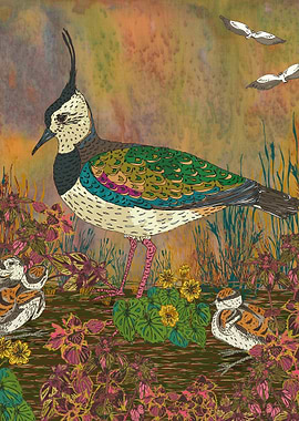 Beautiful and unusual lapwing with chicks. Ground-neste ...