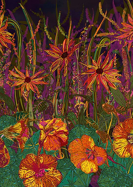 Pretty flowers from late-summer and early autumn. Colou ...