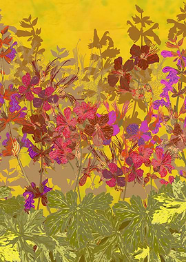 A Day in the Sun (Geraniums). Pretty wild geranium (cra ...