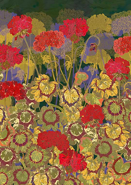 Summer days! Vibrant red geraniums are a summer essenti ...