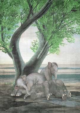 A Day at the Seaside