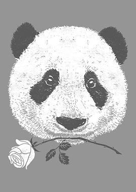 Love Panda