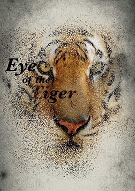 Eye of the Tiger