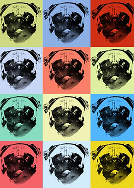 Pugs
