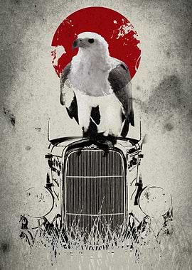 Bird of prey