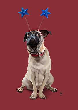 A Pug's life (colour)