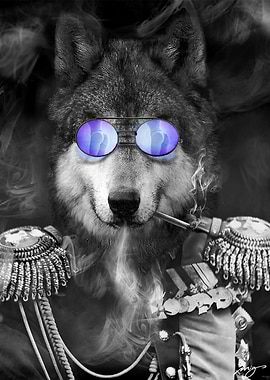 I want to bring to life some of the funny and weird stu ...