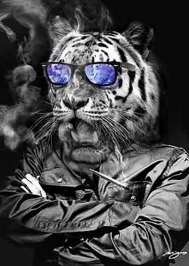 I want to bring to life some of the funny and weird stu ...