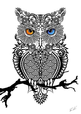 The Owl