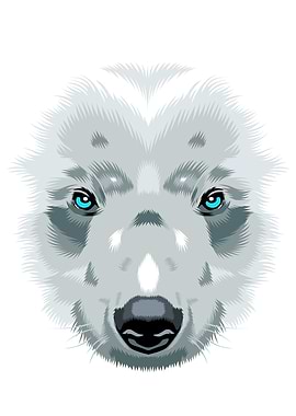Bear White