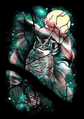 Space Watcher