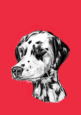 Dalmatian Illustration Red