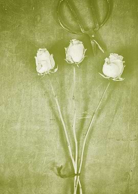 Retro green three roses.