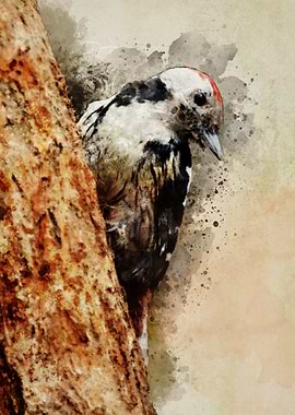 Black and white woodpecker on the branch - digital artw ...