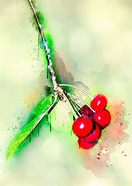 Sweet Red Cherries