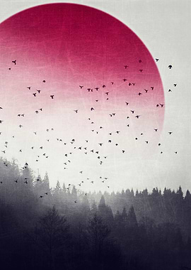 Rising - Surreal Woodlands