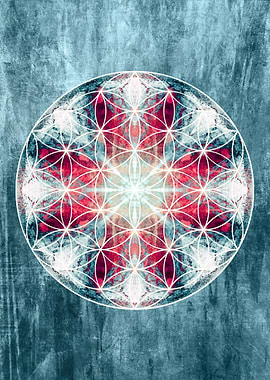 flower of life 10,16