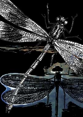 DRAGONFLY meets a FRIEND-2