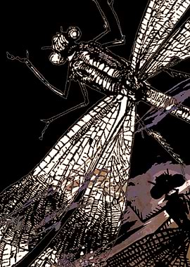 DRAGONFLY meets a FRIEND-1