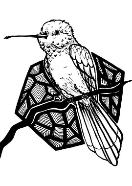 Inktober day 2: Hummingbird