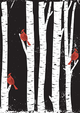 Northern Cardinal birds