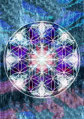 flower of life 10.16