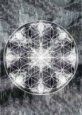 flower of life black grey