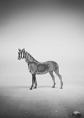 Zebra Mist