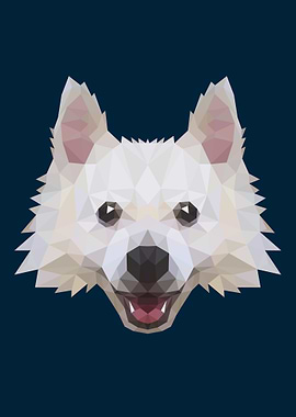 Japanese Spitz dog breed