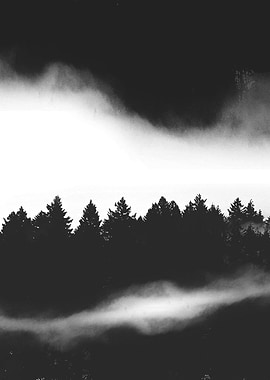 The Woods are calling