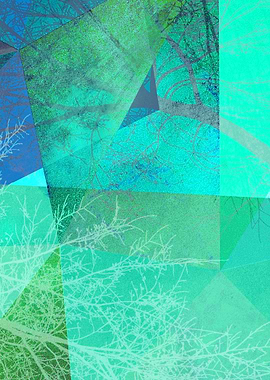 P19-B-3 TREES AND TRIANGLE