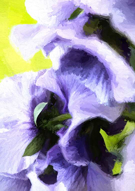 violet in the garden