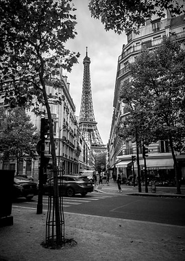 The girl waiting to cross