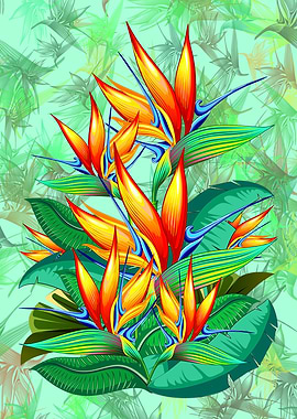 Bird of Paradise Flower Exotic Nature