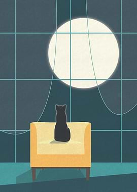 Black cat sitting on a chair at the window in the moonl ...