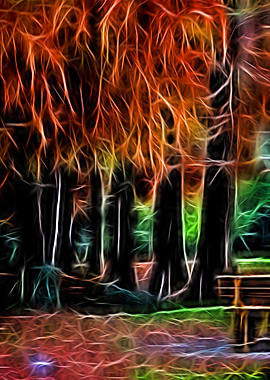 tree in the park in autumn