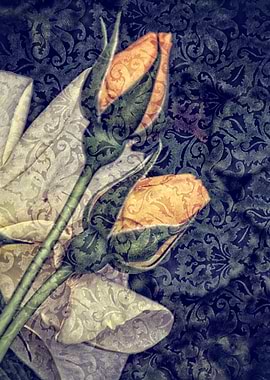 abstract roses