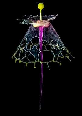 Waterdrop umbrella