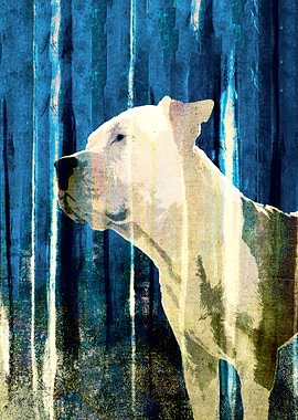 bali the dog/abstract background