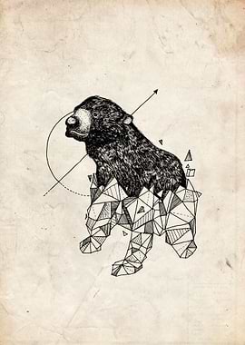 bear geometric